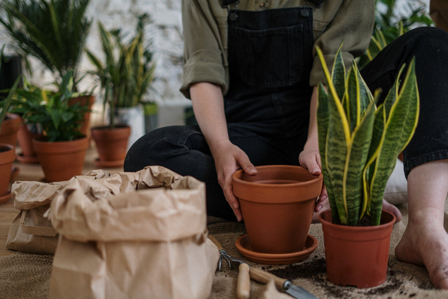 Gardening